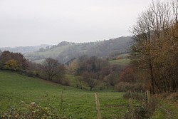 IMG_0909.JPG(120 KB)