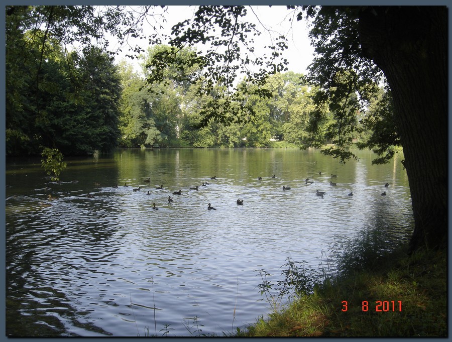 506_00175600ML CIMI Tchequie Kromeriz parc du chateau aout2011.JPG (240 KB)