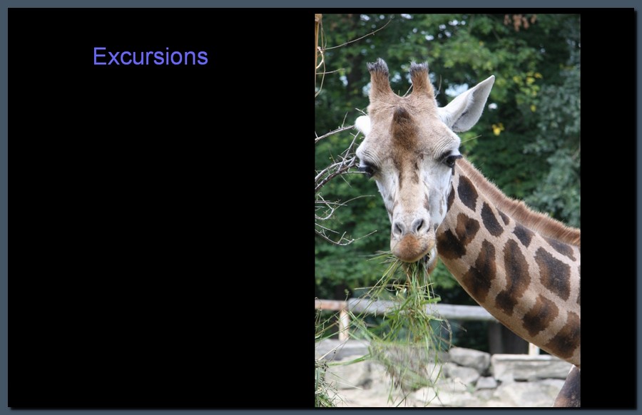 780_excursions.jpg (83,0 KB)