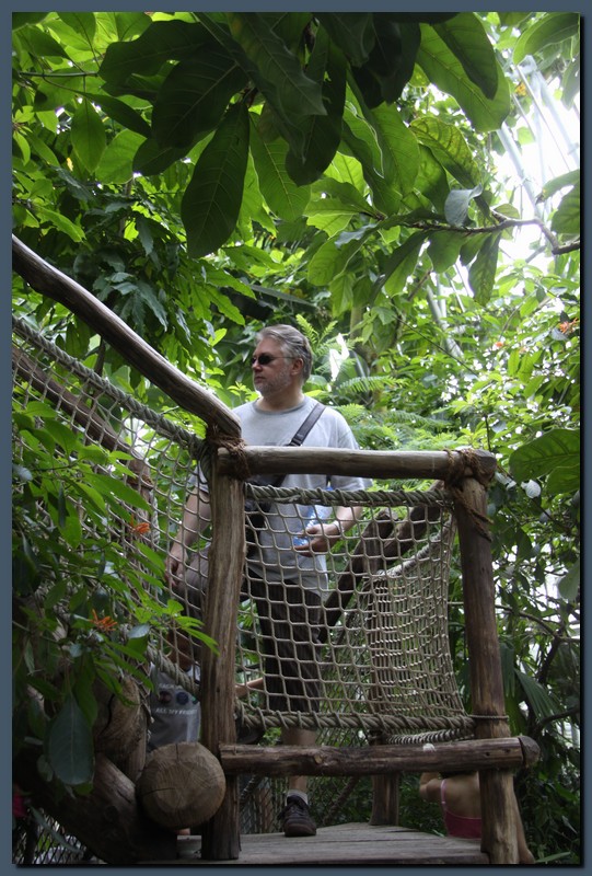 783_IMG_7892.JPG (164 KB)