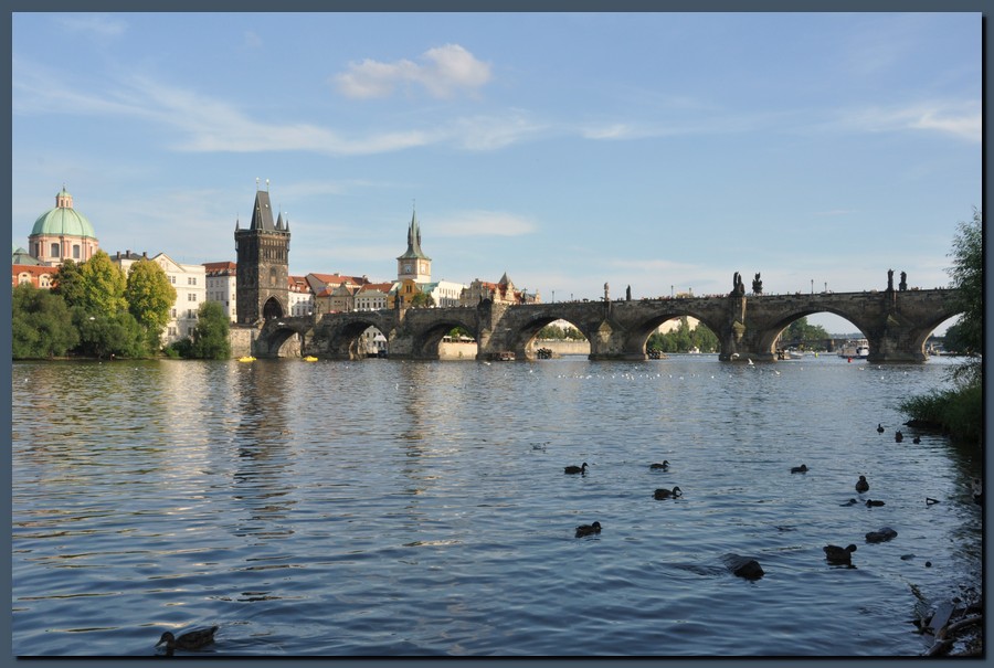 907_DSC_6544.JPG (127 KB)