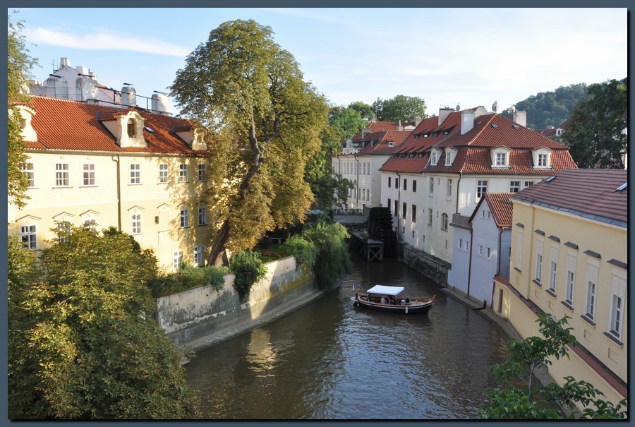 909_DSC_6558.JPG (187 KB)