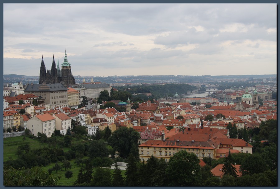 952_IMG_8108.JPG (126 KB)