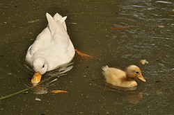 505_DSC_6361.JPG(113 KB)