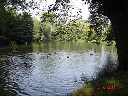 506_00175600ML CIMI Tchequie Kromeriz parc du chateau aout2011.JPG(240 KB)