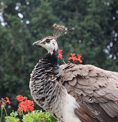 506_IMG_7941.JPG(142 KB)