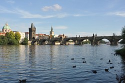 907_DSC_6544.JPG(127 KB)