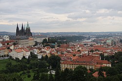 952_IMG_8108.JPG(126 KB)